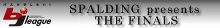 bj league THE FINALS 2006