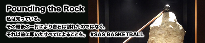 ����n��o�X�P�b�g�{�[������