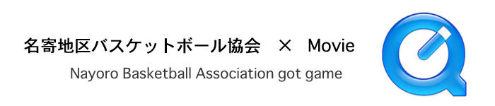 ����n��o�X�P�b�g�{�[������~Apple