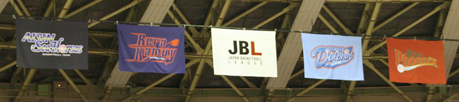 ����n��o�X�P�b�g�{�[������